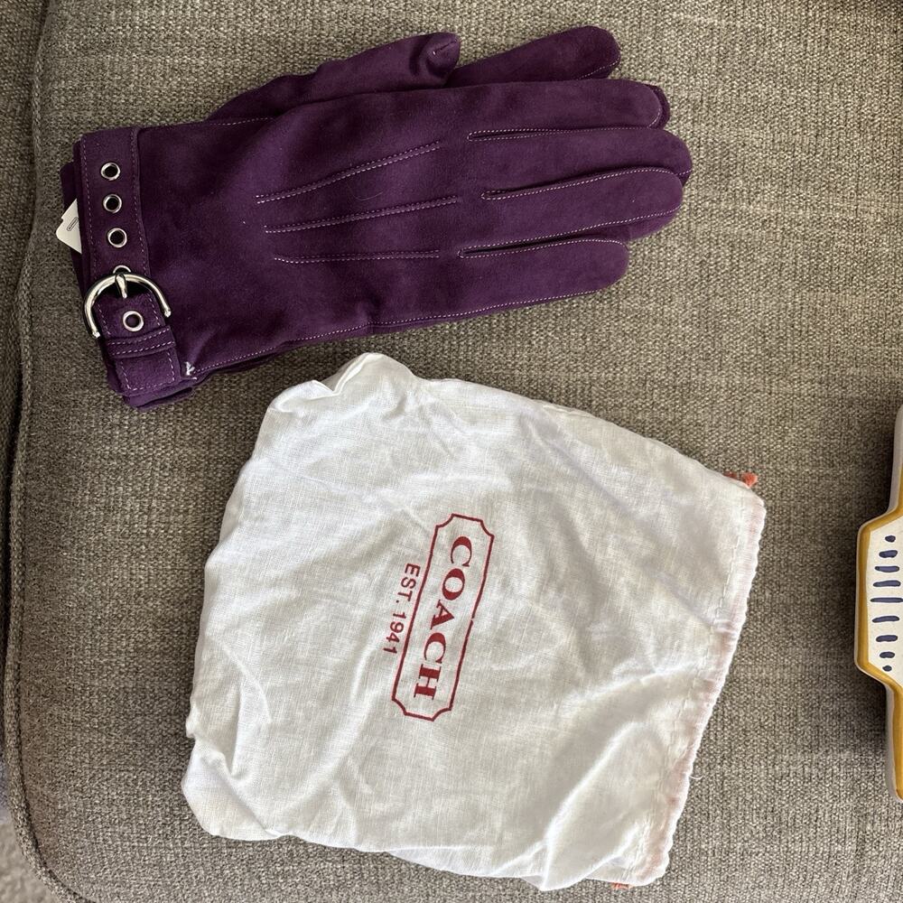 Coach Purple Suede & Cashmere Lined Gloves Silver Buckle NWT
